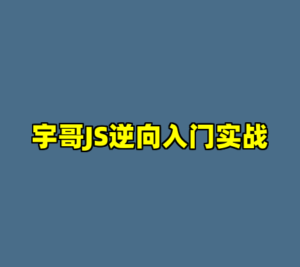 宇哥JS逆向入门实战-cc资源站