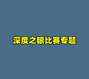 深度之眼比赛专题-cc资源站
