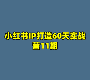 小红书IP打造60天实战营11期-cc资源站