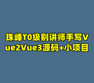 珠峰T0级别讲师手写Vue2Vue3源码+小项目-cc资源站