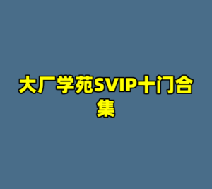大厂学苑SVIP十门合集-cc资源站