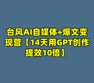 台风AI自媒体+爆文变现营【14天用GPT创作提效10倍】-cc资源站