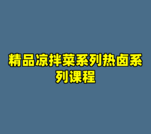 精品凉拌菜系列热卤系列课程-cc资源站