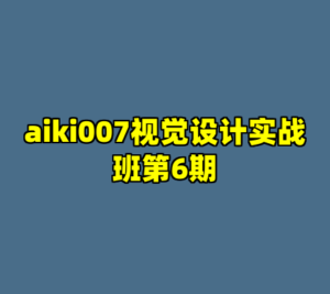 aiki007视觉设计实战班第6期-cc资源站