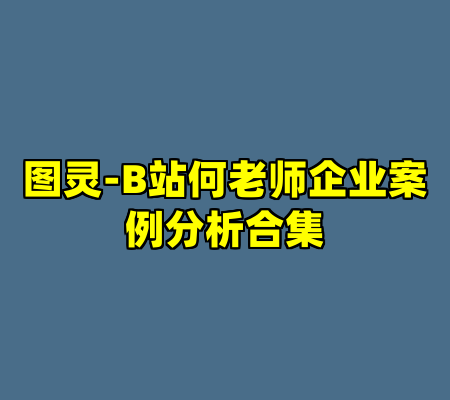 图灵-B站何老师企业案例分析合集