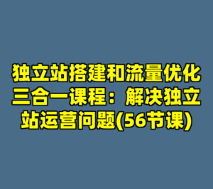 独立站搭建和流量优化三合一课程：解决独立站运营问题(56节课)-cc资源站