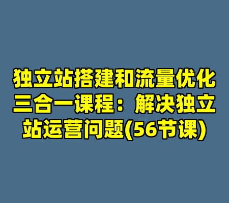 独立站搭建和流量优化三合一课程：解决独立站运营问题(56节课)
