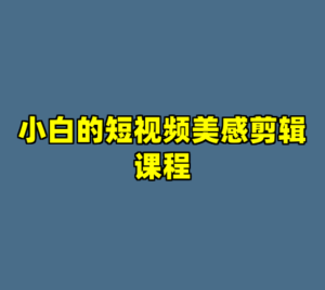 小白的短视频美感剪辑课程-cc资源站