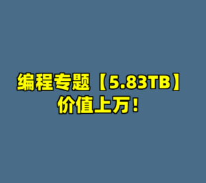 编程专题【5.83TB】价值上万！-cc资源站
