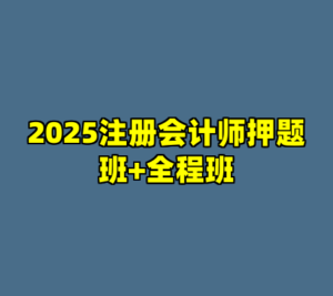 2025注册会计师押题班+全程班-cc资源站
