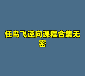 任鸟飞逆向课程合集无密-cc资源站