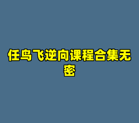 任鸟飞逆向课程合集无密