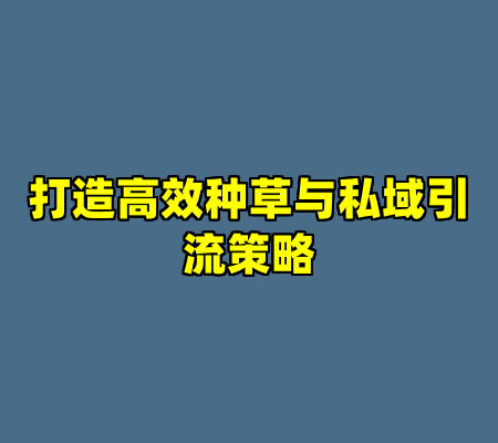 打造高效种草与私域引流策略
