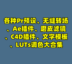各种Pr预设、无缝转场、Ae插件、磨皮滤镜、C4D插件、文字模板、LUTs调色大合集-cc资源站