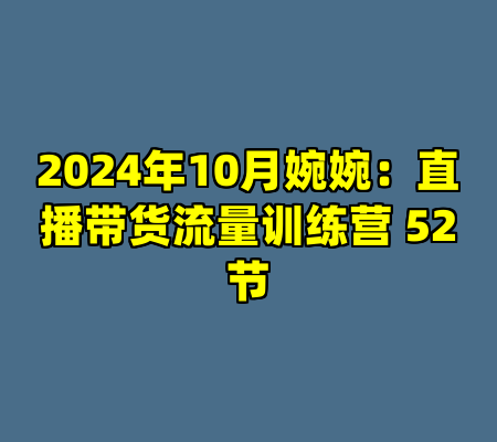 2024年10月婉婉：直播带货流量训练营 52节