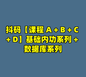 抖码【课程 A + B + C + D】基础内功系列 + 数据库系列-cc资源站