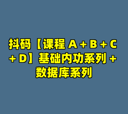 抖码【课程 A + B + C + D】基础内功系列 + 数据库系列