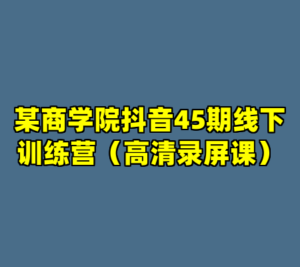 某商学院抖音45期线下训练营（高清录屏课）-cc资源站