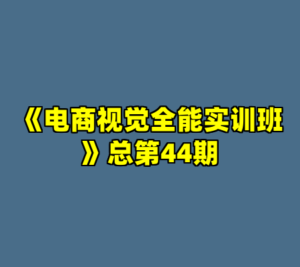 《电商视觉全能实训班》总第44期-cc资源站