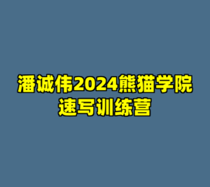 潘诚伟2024熊猫学院速写训练营-cc资源站