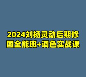2024刘杨灵动后期修图全能班+调色实战课-cc资源站