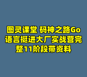 图灵课堂 码神之路Go语言挺进大厂实战营完整11阶段带资料-cc资源站