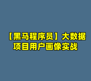 【黑马程序员】大数据项目用户画像实战-cc资源站