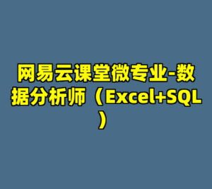 网易云课堂微专业-数据分析师（Excel+SQL）-cc资源站