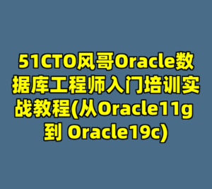 51CTO风哥Oracle数据库工程师入门培训实战教程(从Oracle11g 到 Oracle19c)-cc资源站