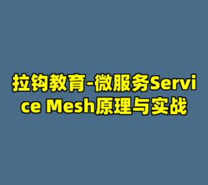 拉钩教育-微服务Service Mesh原理与实战-cc资源站