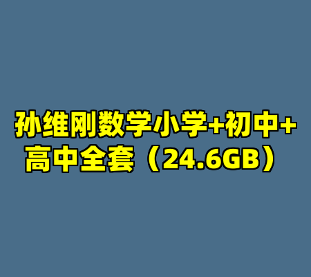 孙维刚数学小学+初中+高中全套（24.6GB）