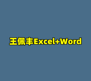 王佩丰Excel+Word-cc资源站