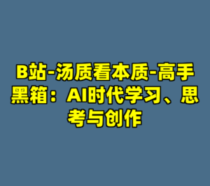 B站-汤质看本质-高手黑箱：AI时代学习、思考与创作-cc资源站