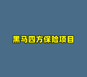 黑马四方保险项目-cc资源站