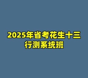 2025年省考花生十三行测系统班-cc资源站