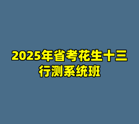2025年省考花生十三行测系统班