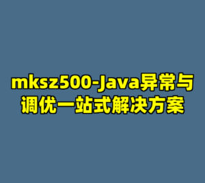 mksz500-Java异常与调优一站式解决方案-cc资源站