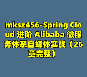 mksz456-Spring Cloud 进阶 Alibaba 微服务体系自媒体实战（26章完整）-cc资源站