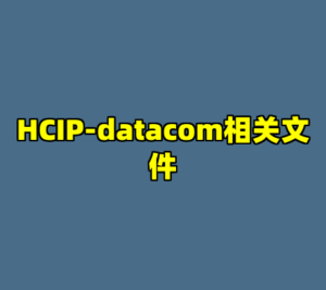 HCIP-datacom相关文件-cc资源站