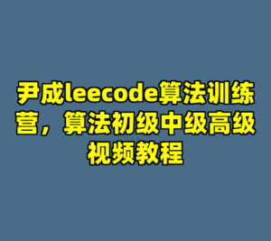 尹成leecode算法训练营，算法初级中级高级视频教程-cc资源站