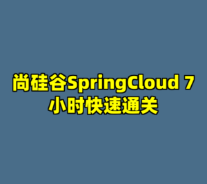 尚硅谷SpringCloud 7小时快速通关-cc资源站