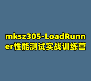 mksz305-LoadRunner性能测试实战训练营-cc资源站