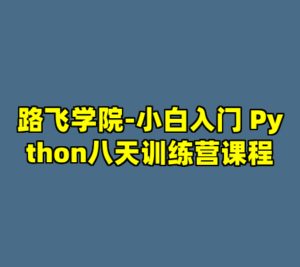 路飞学院-小白入门 Python八天训练营课程-cc资源站