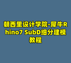 朝西里设计学院-犀牛Rhino7 SubD细分建模教程-cc资源站