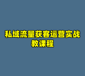 私域流量获客运营实战教课程-cc资源站