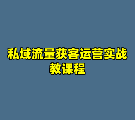 私域流量获客运营实战教课程