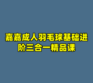 嘉嘉成人羽毛球基础进阶三合一精品课-cc资源站