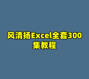 风清扬Excel全套300集教程-cc资源站