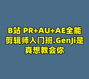 B站 PR+AU+AE全能剪辑师入门班.GenJi是真想教会你-cc资源站