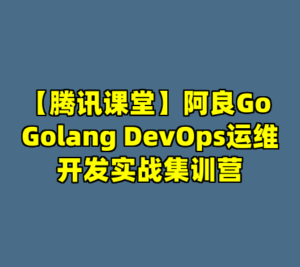 【腾讯课堂】阿良Go Golang DevOps运维开发实战集训营-cc资源站